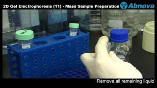 2D Gel Electrophoresis 11 Mass Sample Preparation [upl. by Eerazed195]