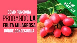 La FRUTA MILAGROSA 🍇con los 3 efectos QUE AUN NO CONOCES 😜FUNCIONA Ledidi de Natures Wild Berry [upl. by Enneite]