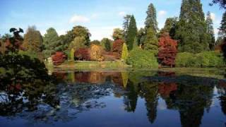 Sheffield Park Garden USELESS TREES [upl. by Haerle]