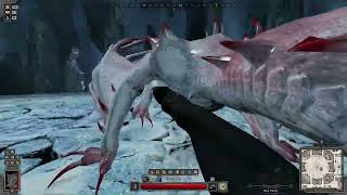 HR wyvern kill with panther druid  Flawless kill [upl. by Eiboh]