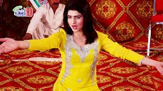 Madam Urwa Khan  Dhola Sanu Pyar Diyan Nashya  Shemail Private Mujra Party [upl. by Waiter]