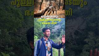 കടുവയുടെയും പുലിയുടെയും ഭക്ഷണരീതി  Periyar Tiger Reserve  shorts [upl. by Tteraj242]