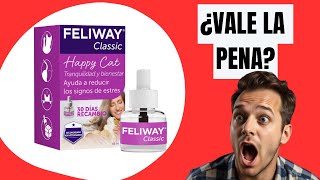 🔥 Feliway Classic Difusor ¿La Mejor Solución Antiestrés para Gatos  Review y Opiniones [upl. by Etnad]