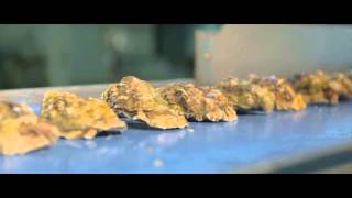 Gillardeau protects its oysters against counterfeiting products thanks to Arjo Solutions [upl. by Aicileb]