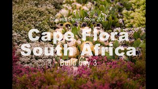 Chelsea Flower Show 2024 Day 3 Cape Flora [upl. by Lesna556]