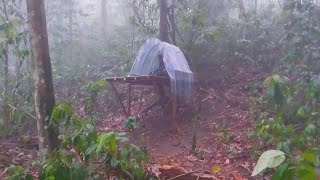 CAMPING HUJAN DERAS  2 HARI CAMPING DI HUTAN KALIMANTAN  KUMPULAN CAMPING SAAT HUJAN DERAS [upl. by Alyag555]