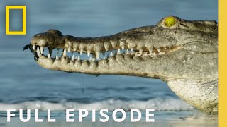 Oceans Full Episode  Hostile Planet [upl. by Winzler301]