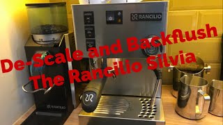 Rancilio Silvia How To Descale and Backflush Espresso Coffee Machine My Coffee Journey episode 20 [upl. by Ramsay]