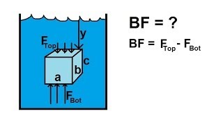 Physics 33  Fluid Statics 8 of 10 Buoyancy Force [upl. by Garrard467]