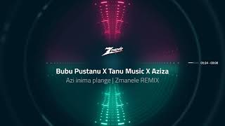 Bubu Pustanu ✘ Tanu Music ✘ Aziza  Azi inima plange  Zmanele REMIX [upl. by Haswell]