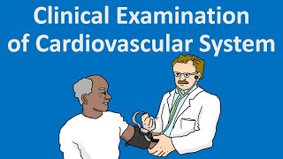 Clinical Examination of Cardiovascular System [upl. by Tterag]