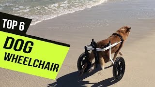 Best Dog Wheelchair of 2020 Top 6 Picks [upl. by Goulder]