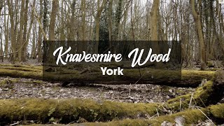 Knavesmire Wood in York [upl. by Anoved840]