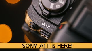 Sony A1II  First Impressions [upl. by Lonyer999]