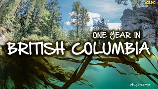 ONE YEAR IN BRITISH COLUMBIA 🇨🇦 Drone Scuba Underwater Macro Photography Wildlife Filmmaking 4K [upl. by Ilac]