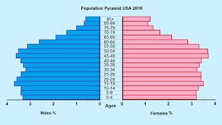 How to make a Population Pyramid [upl. by Dacia137]