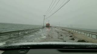 Deer Isle Causeway Seaweed Snow Plow [upl. by Rolfston]