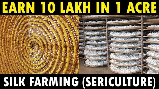 Silk Farming Sericulture  How Silk is made from Silkworm [upl. by Atinniuq979]