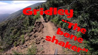 Gridley  The Bone Shaker 12Apr24 [upl. by Havener]