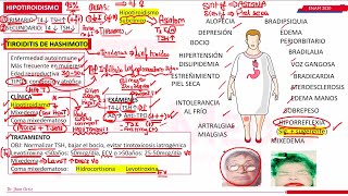 MEDICINA INTERNA  ENDOCRINO PARTE IV [upl. by Norrat748]