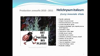 conseils jardinage Helichrysum italicum immortelle ditalie fiche technique plante annuelle [upl. by Sobmalarah999]