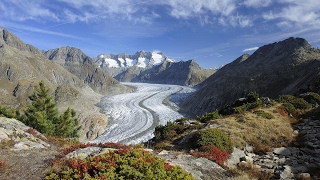 Aletsch Arena – Jodeln am grössten Gletscher der Alpen [upl. by Annehcu]