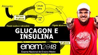 INSULINA E GLUCAGON  ENEM 2018  LISTA 24 QUESTÃO 15 [upl. by Rawden]