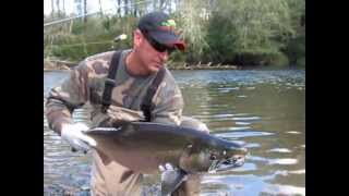 Humptulips River Salmon Fishing [upl. by Esirrehc]