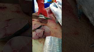 How To Fillet Kingfish  Professional Fish Cutting [upl. by Oicafinob]