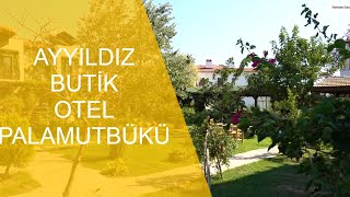 Ayyıldız Butik Otel Palamutbükü  Neredekalcom [upl. by Eirot974]