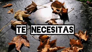 Te Necesitas Autor Magdalena S Blesa [upl. by Ainatnas]