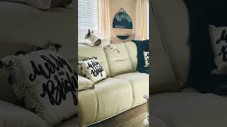 🐾FURNITURE PERFECT FOR YOU AND YOUR PETS 🐾 [upl. by Chantal]