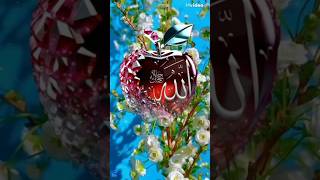 Islamic gojol♥️vairal trending subscribe masaallah bangla [upl. by Akinaj]