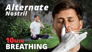 10Minute Alternate Nostril Breathing Practice [upl. by Lapides]