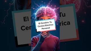 🧠El cerebro humano una increíble central eléctrica CuriosidadesCerebrales [upl. by Llennor174]