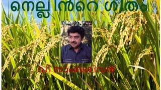 NELLINTE GEETHAM  VSAMBASIVAN [upl. by Nnayelsel]