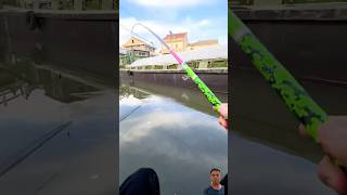 Big fish guess the hook😨😱 fishing fish bassfishing vlog fishingtips fishingvideo [upl. by Kuhlman]