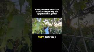 Mom saved the her papaya AND created a spot for her hanging plants with bamboo and sticks [upl. by Rehpotsyrhc]