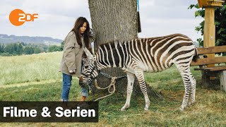 Frühling – Ein Zebra im Gepäck  Filme amp Serien  ZDF [upl. by Narud]