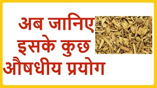 Medicinal Use of Berberis Aristata  दारूहल्दी के औषधीय प्रयोग [upl. by Nanette522]