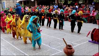 Bhangra Giddha Nursery class students SGHP School Golden Avenue Amritsar [upl. by Pinchas]