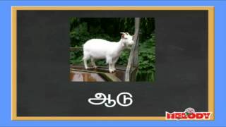 Two Letters in Tamil Erandezhuthu Sorkkal  இரண்டெழுத்து சொற்கள் [upl. by Shelton829]