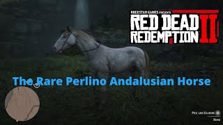 Perlino Andalusian Rare Horse Location  Red Dead Redemption 2 RDR2 [upl. by Norbert]