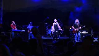 White winged Dove  Tusk Fleetwood Mac Tribute band Plays Kennesaw GA [upl. by Omrellug210]