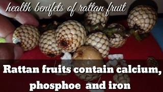 Rattan fruit health benefits [upl. by Inttirb440]