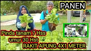 HIDROPONIK RAKIT APUNG RZ JONCTION 37 HSS [upl. by Fakieh]