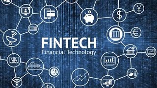 Fintech System of India [upl. by Salene]