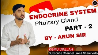 ENDOCRINE SYSTEM PART 2 BY ARUN SIR [upl. by Prima]