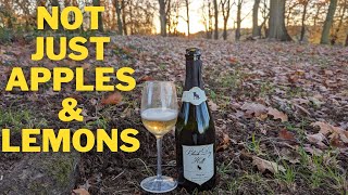 Black Dog Hill Blanc de Blancs 2018 [upl. by Namas463]