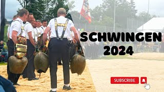 SCHWINGEN HUNDWIL  APPENZELLER KANTONALSCHWINGFEST 2024  Swiss Wrestling [upl. by Orville]